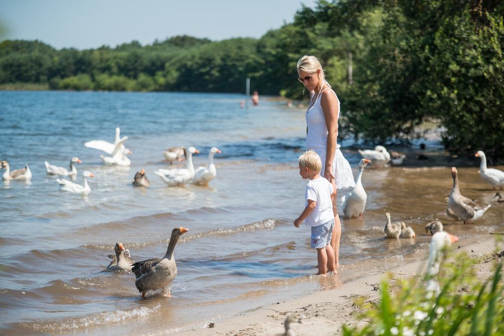 Sunparks Kempense Meren Mol Exteriér fotografie
